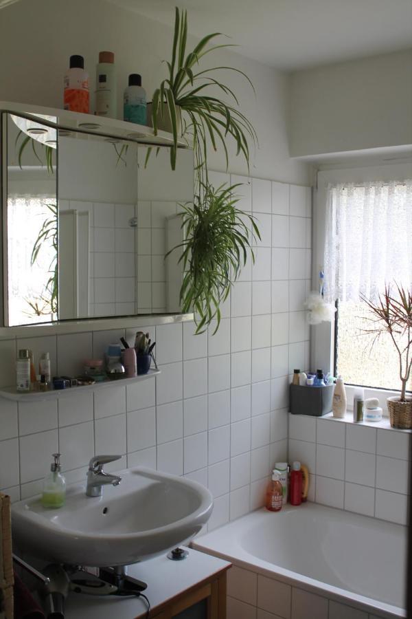 Bed & Breakfast Bonn 24 Mai Bis14 Juni Mit Hund In Der Wohnung Εξωτερικό φωτογραφία